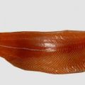 Семга(лосось) филе