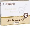 Echinacea GP (Эхинацея, стандартизированный экстракт) — Биологически Активная Добавка к пище (БАД) Santegra (Сантегра), ранее Enrich (Инрич)