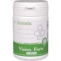 Vision Forte (Вижен, витамины для поддержки зрения) — Биологически Активная Добавка к пище (БАД) Santegra (Сантегра), ранее Enrich (Инрич)