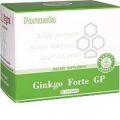 Ginkgo Forte (Гинкго Билоба и Готу Кола Центелла азиатская) Биологически Активная Добавка к пище БАД Santegra (Сантегра), ранее Enrich (Инрич)